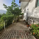 Summer Vibes House