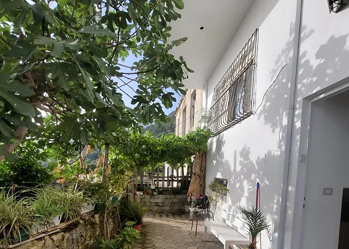 Summer Vibes House